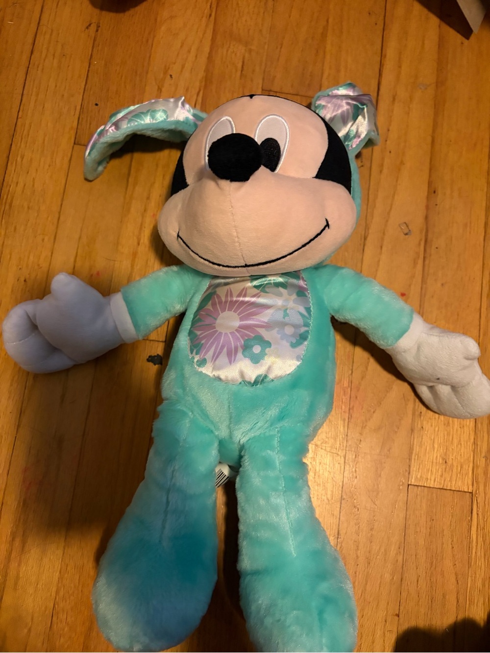 Mickey Mouse bunny